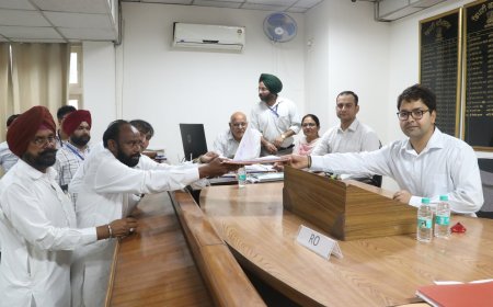 ਦੂਸਰੇ ਦਿਨ ਦੋ ਨਾਮਜ਼ਦਗੀ ਪੱਤਰ ਹੋਏ ਦਾਖਲ: ਜ਼ਿਲ੍ਹਾ ਚੋਣ ਅਫ਼ਸਰ