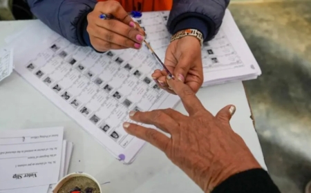 Punjab Voter Roll Revision: 20 Lakh Forms Pending, Draft Electoral Roll to Be Released on August 13