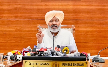 Punjab Employee Pay Arrears: Government Says ₹14,191 Crore Dues Came From Previous Regimes