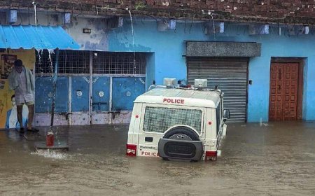 Madhya Pradesh Floods: 527 People Rescued as Heavy Rains Trigger Flood-Like Situation