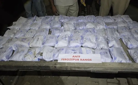 Punjab ANTF's Big Action Before August 15, Over 30 Kg Heroin Seized in Ferozepur