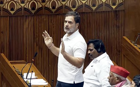 BJP Targets Rahul Gandhi Over Monsoon Session Disruptions, Says ‘One Leader’s Ego’ Derailled Parliament