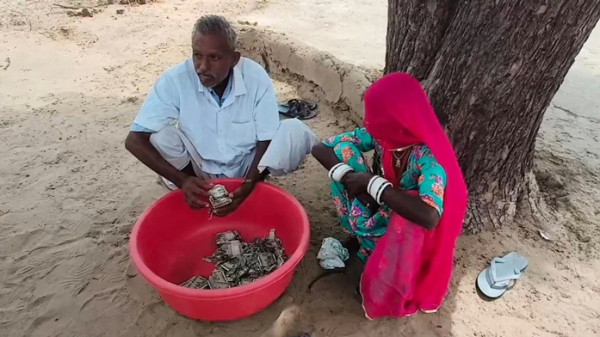 Rajasthan Farmer Loses Rs 5 Lakh After Termites Destroy Cash Buried in Farm